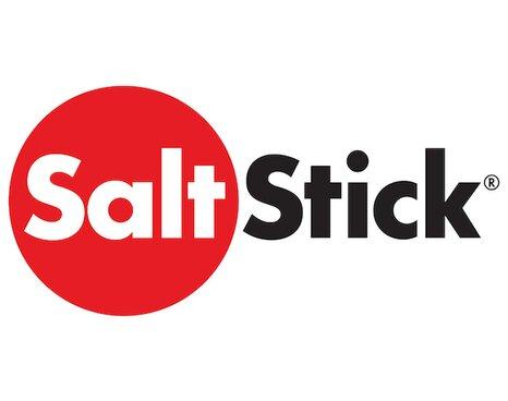 SaltStick Electrolyte FastChews Berry